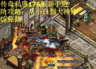 传奇私服176版新手进阶攻略：从小白到大神修炼秘籍