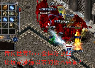 ��������Boss�������Щ�������������ļ�Ʒװ����