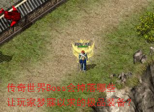 ��������Boss�������Щ�������������ļ�Ʒװ����