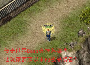��������Boss�������Щ�������������ļ�Ʒװ����