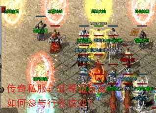 ����˽�����͵ȼ������β����лṥɳ��