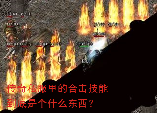 ����˽����ĺϻ����ܵ����Ǹ�ʲô������