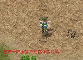 �����콵��������������