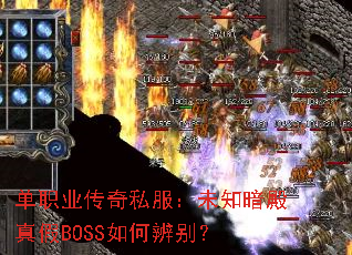 ��ְҵ����˽����δ֪�������BOSS��α��