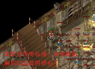 ��ְҵ����˽����δ֪�������BOSS��α��