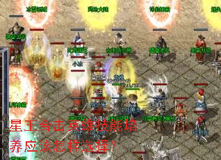 �����ϻ�Ӣ�ۼ�������Ӧ������ѡ��