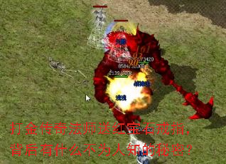 ����淨ʦ�ͺ챦ʯ��ָ��������ʲô��Ϊ��֪�����ܣ�