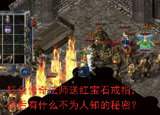 ����淨ʦ�ͺ챦ʯ��ָ��������ʲô��Ϊ��֪�����ܣ�
