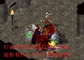 ����淨ʦ�ͺ챦ʯ��ָ��������ʲô��Ϊ��֪�����ܣ�