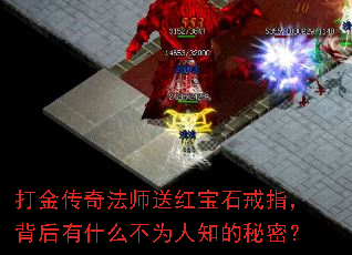 ����淨ʦ�ͺ챦ʯ��ָ��������ʲô��Ϊ��֪�����ܣ�
