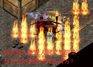 ������������˼䣺���ѳ�������Կ�׾����ںη���