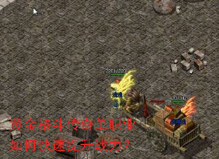 �ƽ�񶷴��浥ְҵ��ο�������ս����