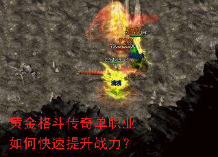 �ƽ�񶷴��浥ְҵ��ο�������ս����