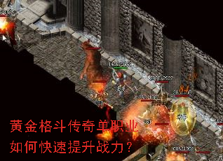 �ƽ�񶷴��浥ְҵ��ο�������ս����