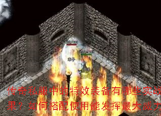 ����˽���е���Чװ������ЩʵսЧ������δ���ʹ���ܷ������������
