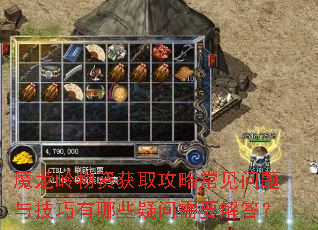 ħ�������ʻ�ȡ���Գ��������뼼������Щ������Ҫ���