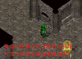 ħ�������ʻ�ȡ���Գ��������뼼������Щ������Ҫ���