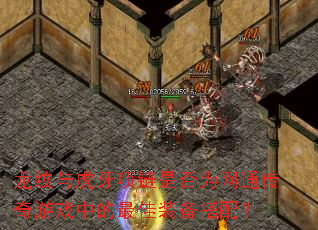 �����뻢�������Ƿ�Ϊ��ͨ������Ϸ�е����װ�����䣿
