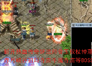 �¿���Ѫ����SF��ʦ����Ȩ�ȵ����ͼ����Щ������Ͽ����������ţħ������BOSS�ֲ���⣿