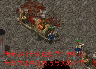 ����˽�������ٶ���������ҷ������ٳ弶������ʵս�ĵ�