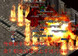 �������ֲ������Ӧ��ѡ�ĸ�ְҵ��ְҵѡ�������ּ��ɽ���