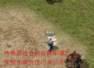 ������Ϸ��Ա������룿���������뼼�ɴ󹫿�