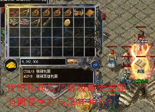 ����˽����ʦ�����������Ϊ�������������Ĳ��棿