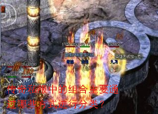 ����˽���е������Ҫͨ����Щ��ʽ���з��ࣿ