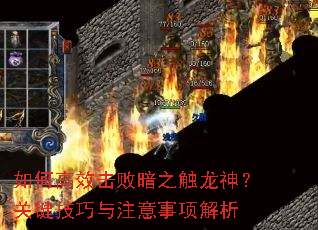 ��θ�Ч���ܰ�֮�����񣿹ؼ�������ע���������