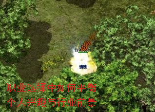 ְҵѡ�������ƽ�������Ȥ����ҵǰ��
