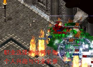 ְҵѡ�������ƽ�������Ȥ����ҵǰ��