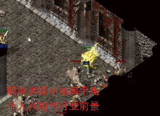 ְҵѡ�������ƽ�������Ȥ����ҵǰ��
