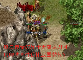 ��Ѫ����SFսʿ��������������Щ���Լ۱����������