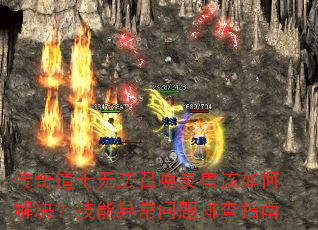 �����ʿ�޷��ٻ����޸���ν���������쳣�����Ų�ָ��