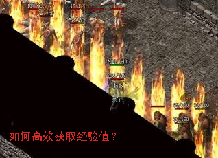 ��θ�Ч��ȡ����ֵ��