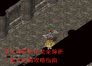���µ�Ұ���淨ȫ���������ֱؿ�����ָ��