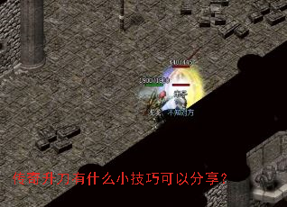����������ʲôС���ɿ��Է�����
