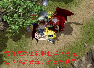 ������Ϸ���ְҵ��δ��䣿��Щ������������°빦����