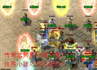 ���淨ʦҰ�������ѣ���ЩС�������Թ���