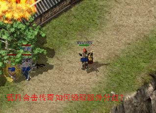 ���ºϻ����������ȡ����ֺ죿