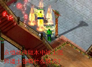 ����ս��汾��սʿ��ʦ��ʿ����ʲôȱ�㣿