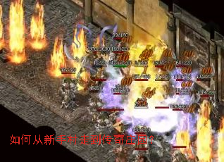 ��δ����ִ��ߵ�����ׯ԰��