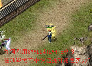 �������SMALL��LARGE������3KM2�����п���������ɫʵ����