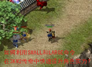 �������SMALL��LARGE������3KM2�����п���������ɫʵ����