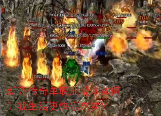 �¿����浥ְҵ�汾���������������ֳ�ʵ��