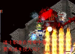 ��ʿְҵ�ڴ�������Ҫ�߳ɱ�Ͷ����