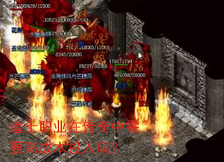 ��ʿְҵ�ڴ�������Ҫ�߳ɱ�Ͷ����