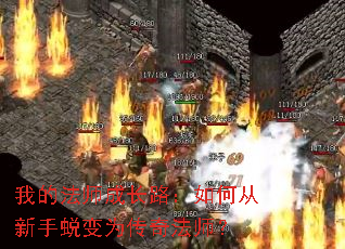 �ҵķ�ʦ�ɳ�·����δ������ɱ�Ϊ���淨ʦ��