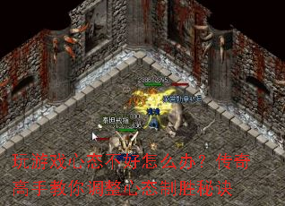 ����Ϸ��̬������ô�죿������ֽ��������̬��ʤ�ؾ�