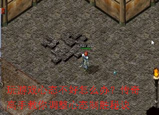 ����Ϸ��̬������ô�죿������ֽ��������̬��ʤ�ؾ�